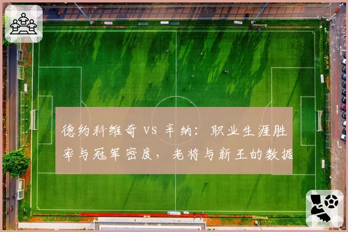 德约科维奇 vs 辛纳：职业生涯胜率与冠军密度，老将与新王的数据对决
