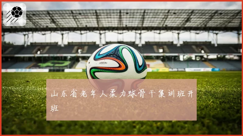 山东省老年人柔力球骨干集训班开班
