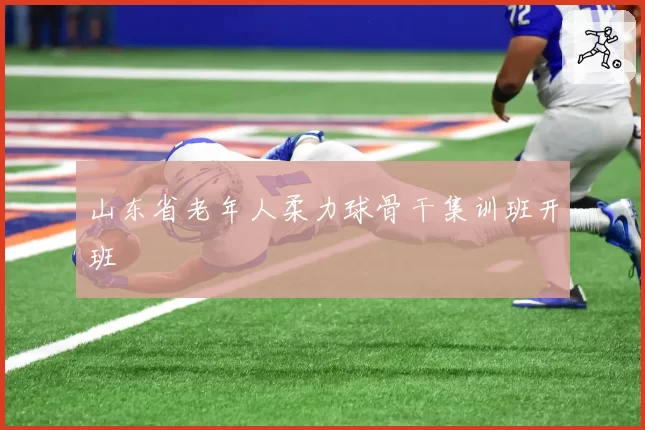 山东省老年人柔力球骨干集训班开班